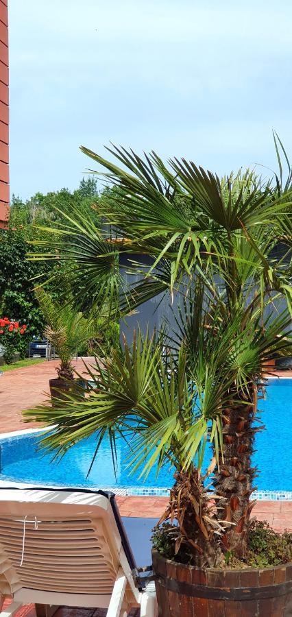 Apartament Cacao Residence Слънчев бряг Екстериор снимка